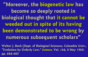 Biogenetic law has been shown to be nonsense.